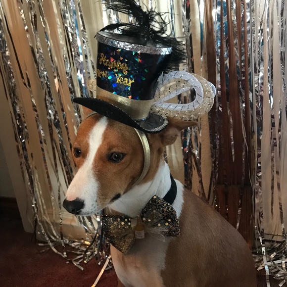 NO clowning around.... - Picture 4 of 16